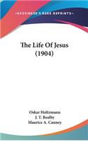 The Life of Jesus (1904)