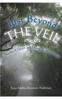 Just Beyond the Veil