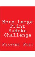 More Large Print Sudoku Challenge: Fun, Large Grid Sudoku Puzzles