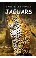 Jaguars - Sandie Lee Books