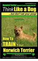 Norwich Terrier, Norwich Terrier Training AAA AKC Think Like a Dog But Don't Eat Your Poop!