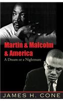 Martin & Malcolm & America