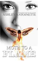 Moth To A Flame