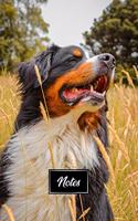 Bernese Mountain Dog Pup Puppy Doggie Notebook Bullet Journal Diary Composition Book Notepad - Deep in the Cornfield: Cute Animal Pet Owner Composition Book with 100 Dotted Dot Grid Paper Pages in 6" x 9" Inch