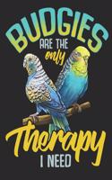 Budgies are the Only Therapy i Need: Planner Weekly and Monthly for 2020 Calendar Business Planners Organizer For To do list 8,5" x 11" with Budgie Budgerigar Bird Parrot