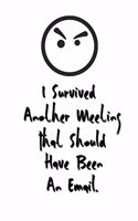 I Survived Another Meeting That Should Have Been An Email.: Stunning Funny Boss Gifts Ruled Paper Notebook Journal - Cute Work Gifts For Coworker Blank Lined Workbook For Employees Boss Women Men Lawyers Stud