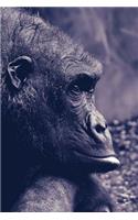Gorilla Notebook