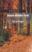 Down Middle Fork