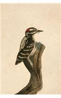 Bird Watching Log: Woodpecker Cover - Premium Bird Journal Logbook - 110 Pages(1 Bird Watching)