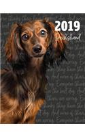 2019 Dachshund: Dated Weekly Planner with to Do Notes & Dog Quotes - Longhaired Dachshund(12 Awesome Calendar Planners for Dog Owners Photo)