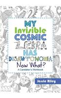 My Invisible Cosmic Zebra Has Dysautonomia - Now What?