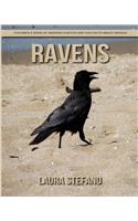 Ravens: Children's Book of Amazing Photos and Fun Facts about Ravens