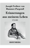 Erinnerungen aus meinem Leben: 1774-1852(German)