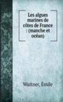 Les algues marines de cotes de France