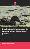 Produção de biomassa de Lemna minor (erva-dos-patos)