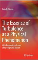 Essence of Turbulence as a Physical Phenomenon: With Emphasis on Issues of Paradigmatic Nature