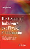 Essence of Turbulence as a Physical Phenomenon