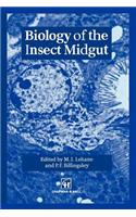 Biology of the Insect Midgut