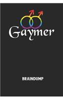GAYMER - Braindump