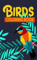 Birds Coloring Book