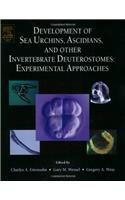 Development of Sea Urchins, Ascidians, and Other Invertebrate Deuterostomes: Experimental Approaches: 74 (Methods in Cell Biology)