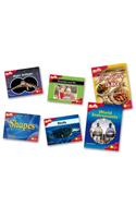 Oxford Reading Tree: Level 4: Fireflies: Pack (6 books, 1 of each title)