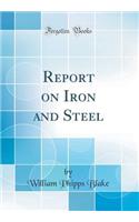 Report on Iron and Steel (Classic Reprint)