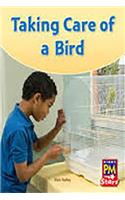 Taking Care of a Bird: Leveled Reader Bookroom Package Green (Levels 12-14)(Rigby PM Stars)
