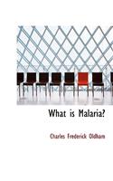 What Is Malaria?
