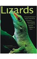 Lizards