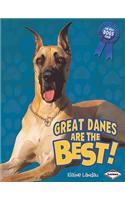 Great Danes Are the Best!