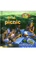 El Picnic (at the Picnic)