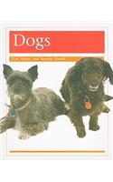 Pets: Dogs