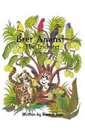 Brer Anansi the Trickster