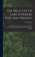 Wild Life Of Lake Superior, Past And Present