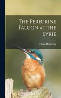 The Peregrine Falcon at the Eyrie