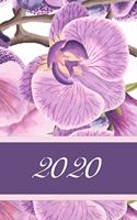 2020: Calendario e Agenda settimanale 2020 + calendario mensile + 20 pagine Indirizzi +20 pagine foderate +20 pagine Blanco per schizzi - orchidee