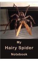 My Hairy Spider Notebook: If You Love Spiders, Then This Composition Note Book Is a Great Addition to Your Collection. Handy to Jot Down All of Your Scary Adventures.
