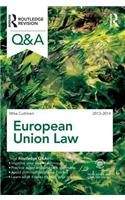 Q&A European Union Law 2013-2014