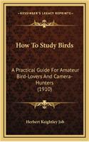 How to Study Birds: A Practical Guide for Amateur Bird-Lovers and Camera-Hunters (1910)