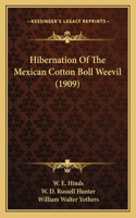 Hibernation Of The Mexican Cotton Boll Weevil (1909)