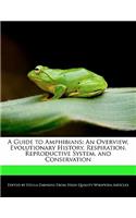 A Guide to Amphibians: An Overview, Evolutionary History, Respiration, Reproductive System, and Conservation(English)