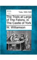 The Trials at Large of the Felons, in the Castle of York