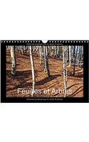 Feuilles Et Arbres 2017