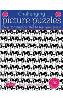 Challenging Picture Puzzles