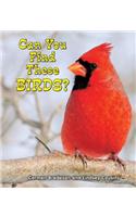 Can You Find These Birds?