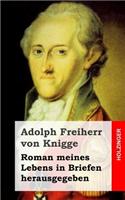 Roman meines Lebens in Briefen herausgegeben