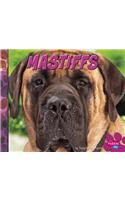 Mastiffs: (Big Dogs)