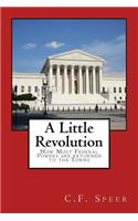 A Little Revolution