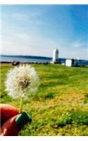 Such a Pretty White Dandelion Full of Wishes Summer Day Journal: 150 Page Lined Notebook/Diary
